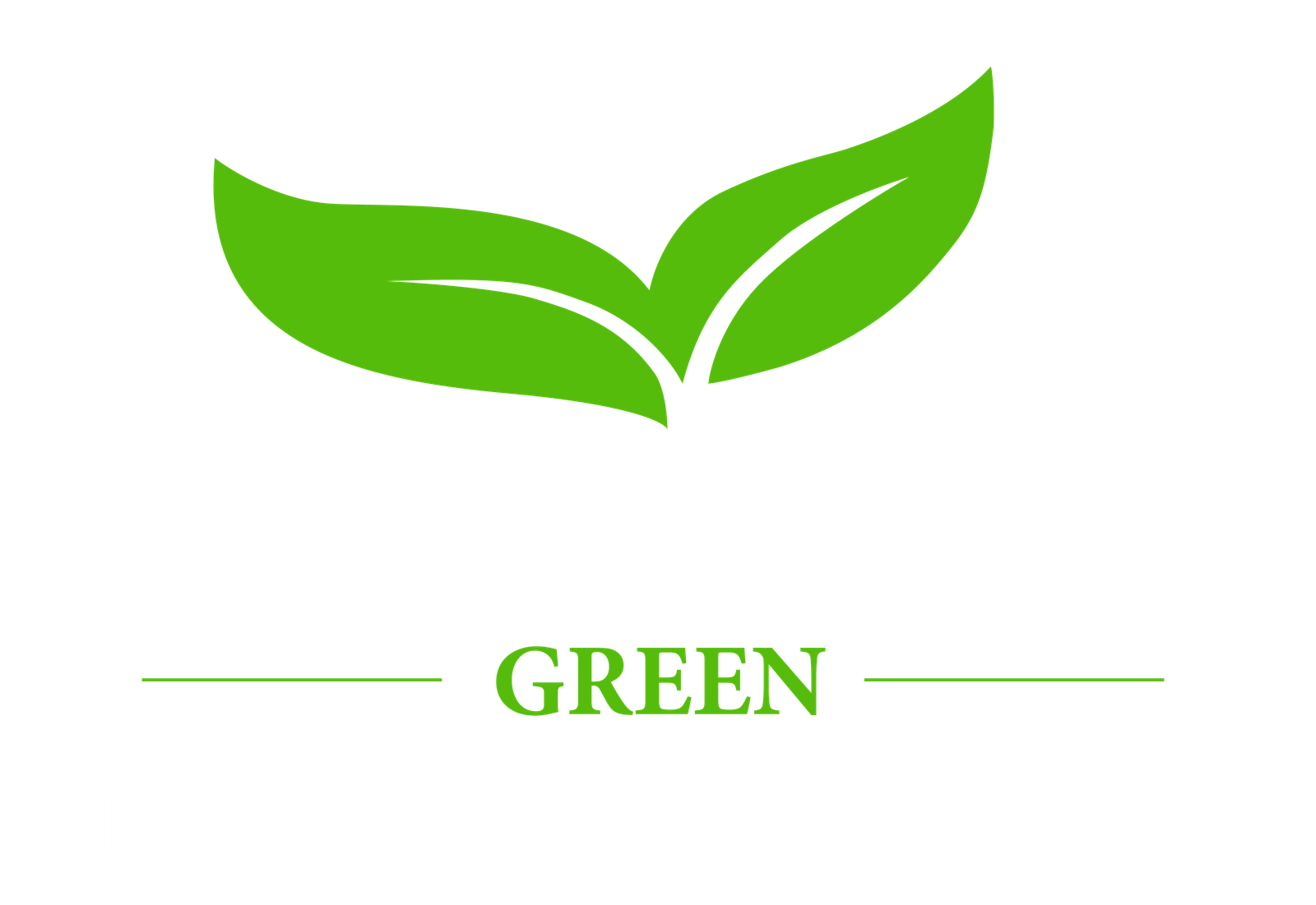 Advanced Green Insulation Logo